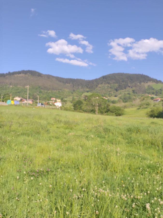 For sale of land in Siero