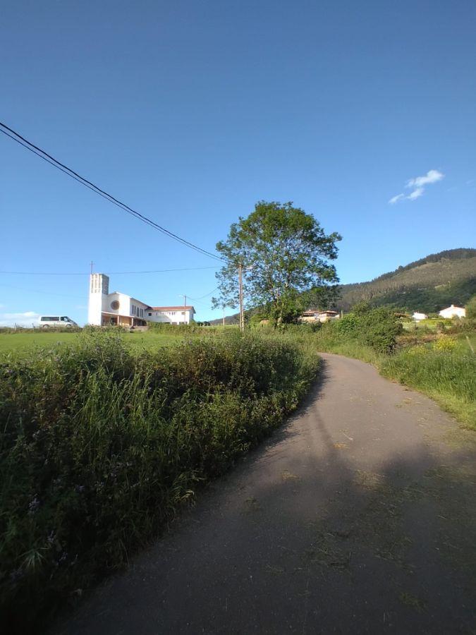 For sale of land in Siero
