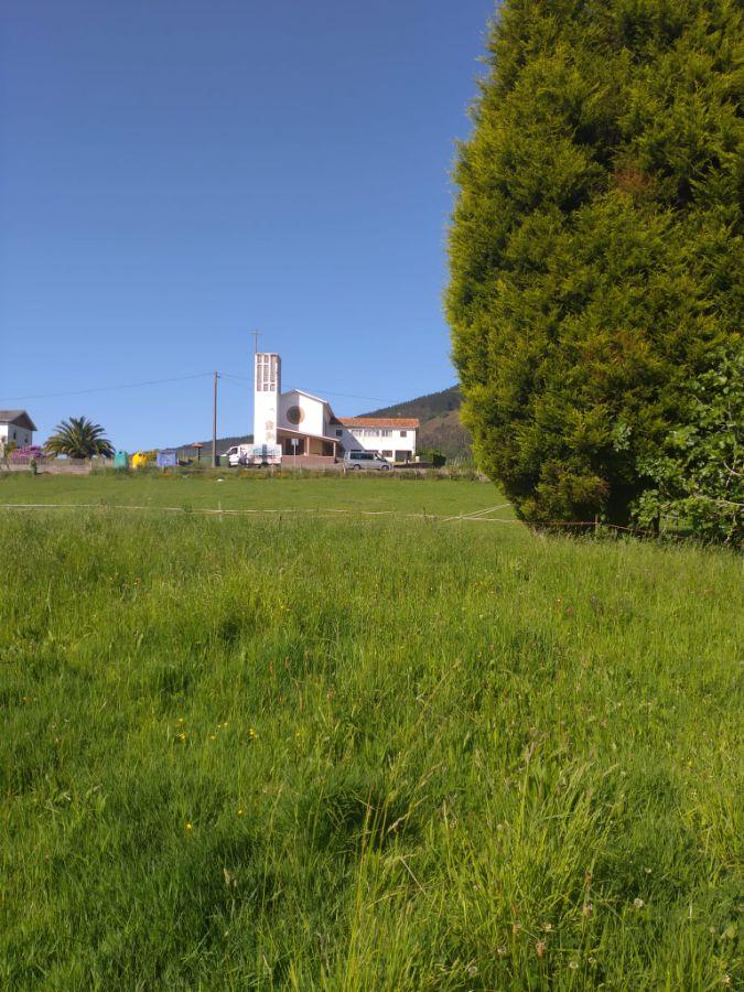 For sale of land in Siero