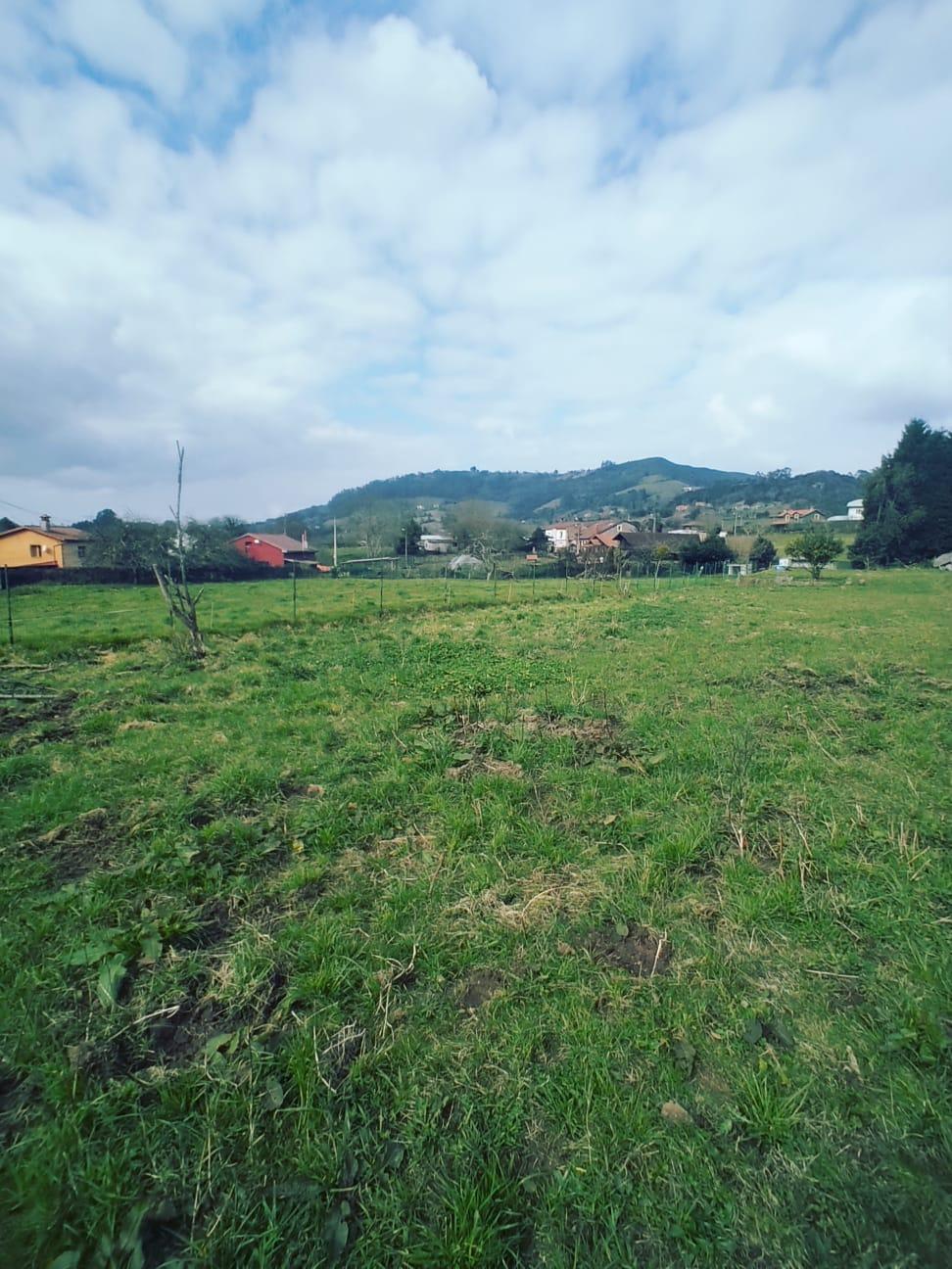 For sale of land in Siero