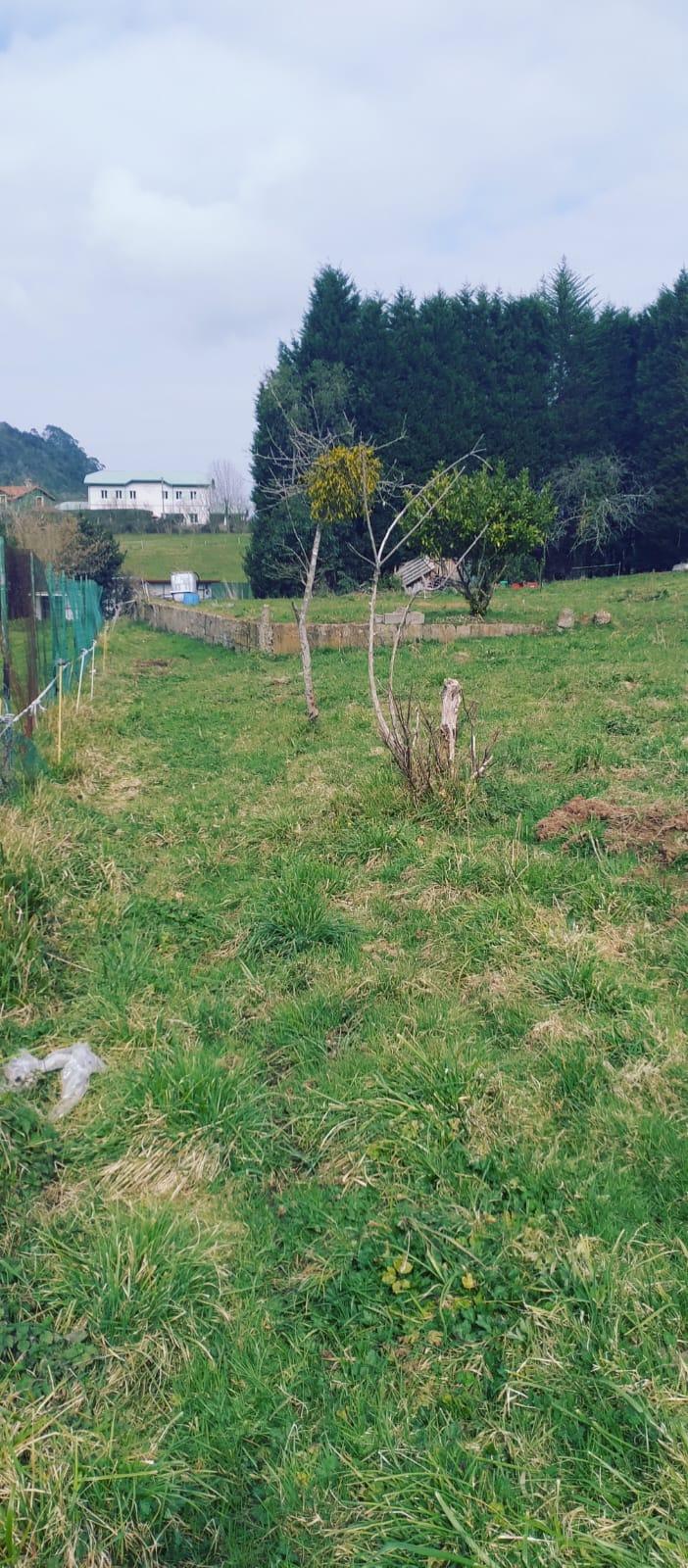 For sale of land in Siero
