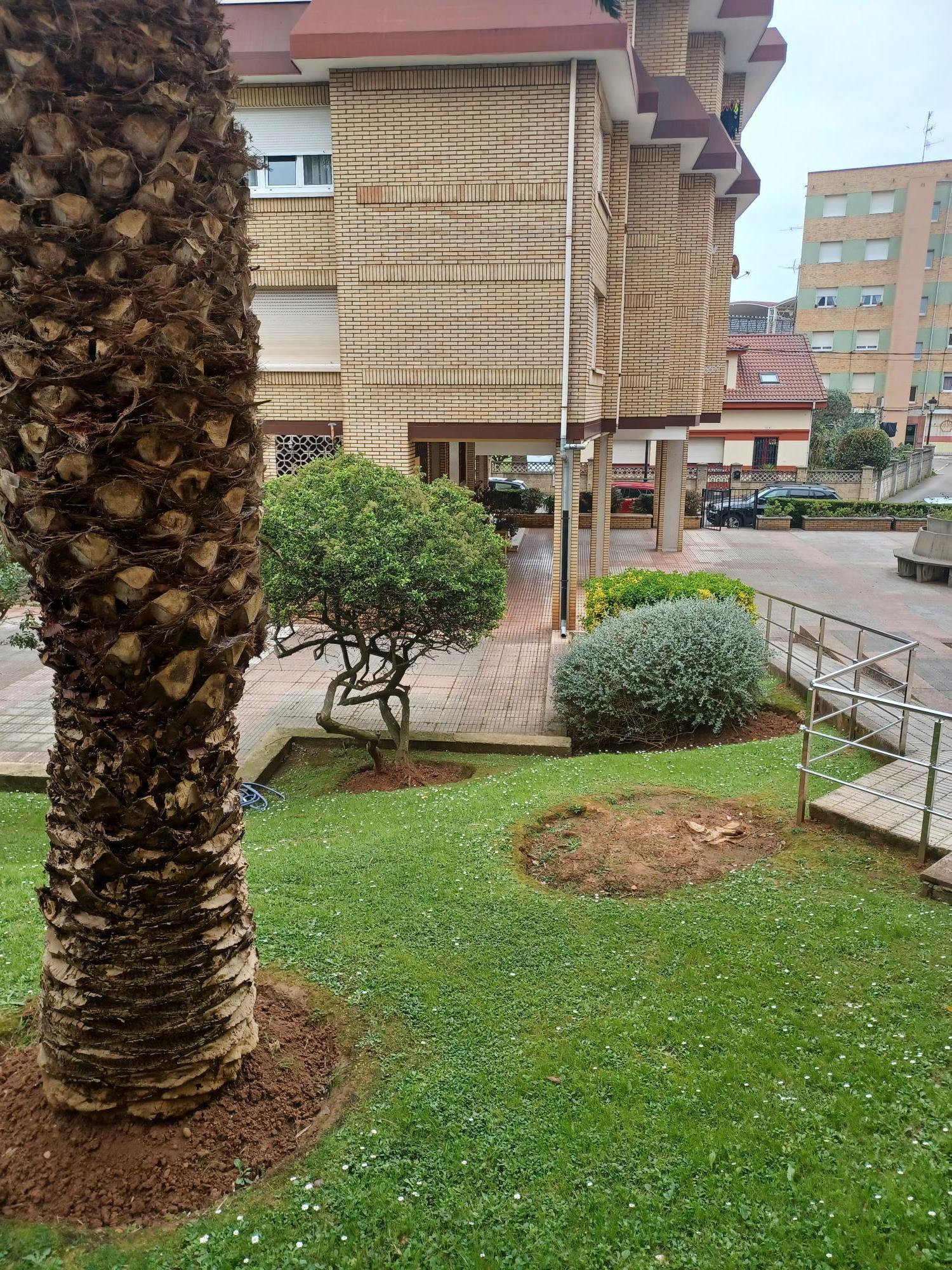 Alrededores