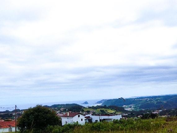 Alrededores