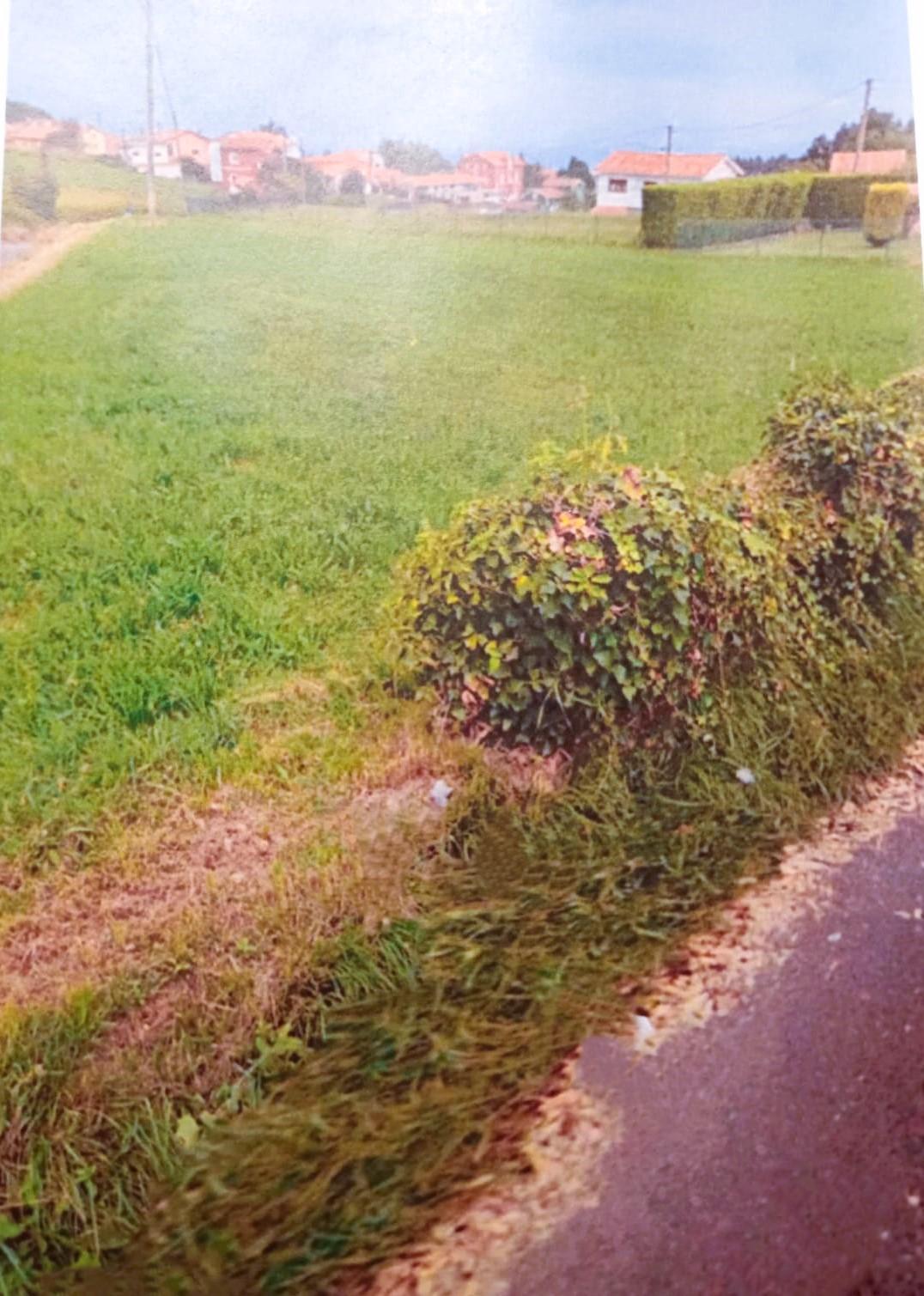Terreno