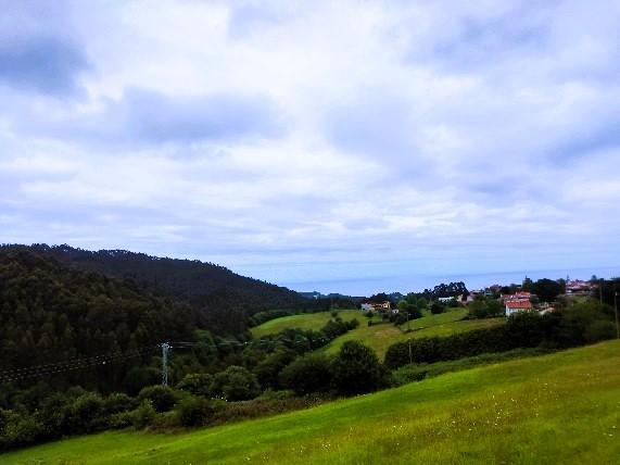 Alrededores