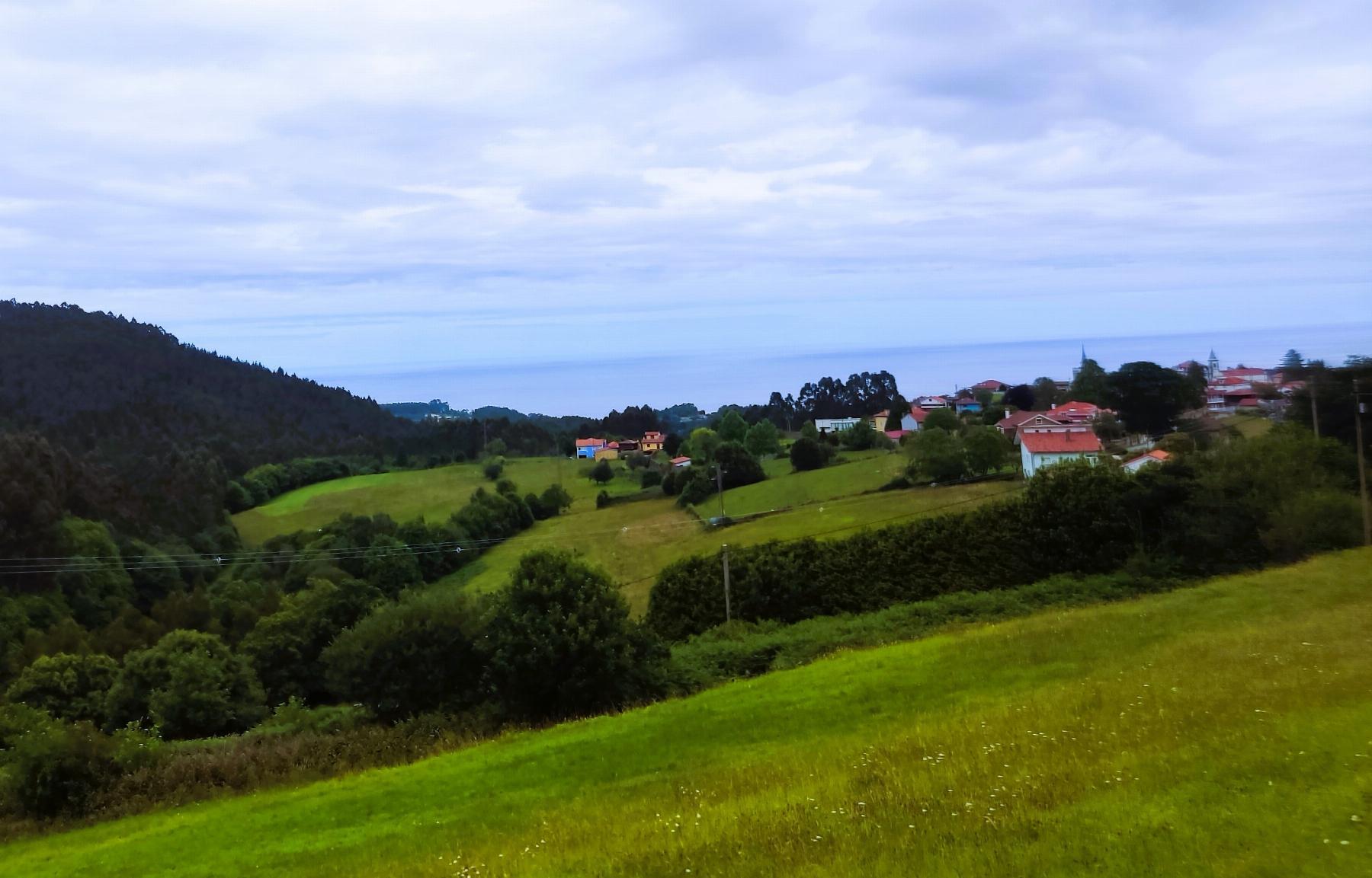 Vistas