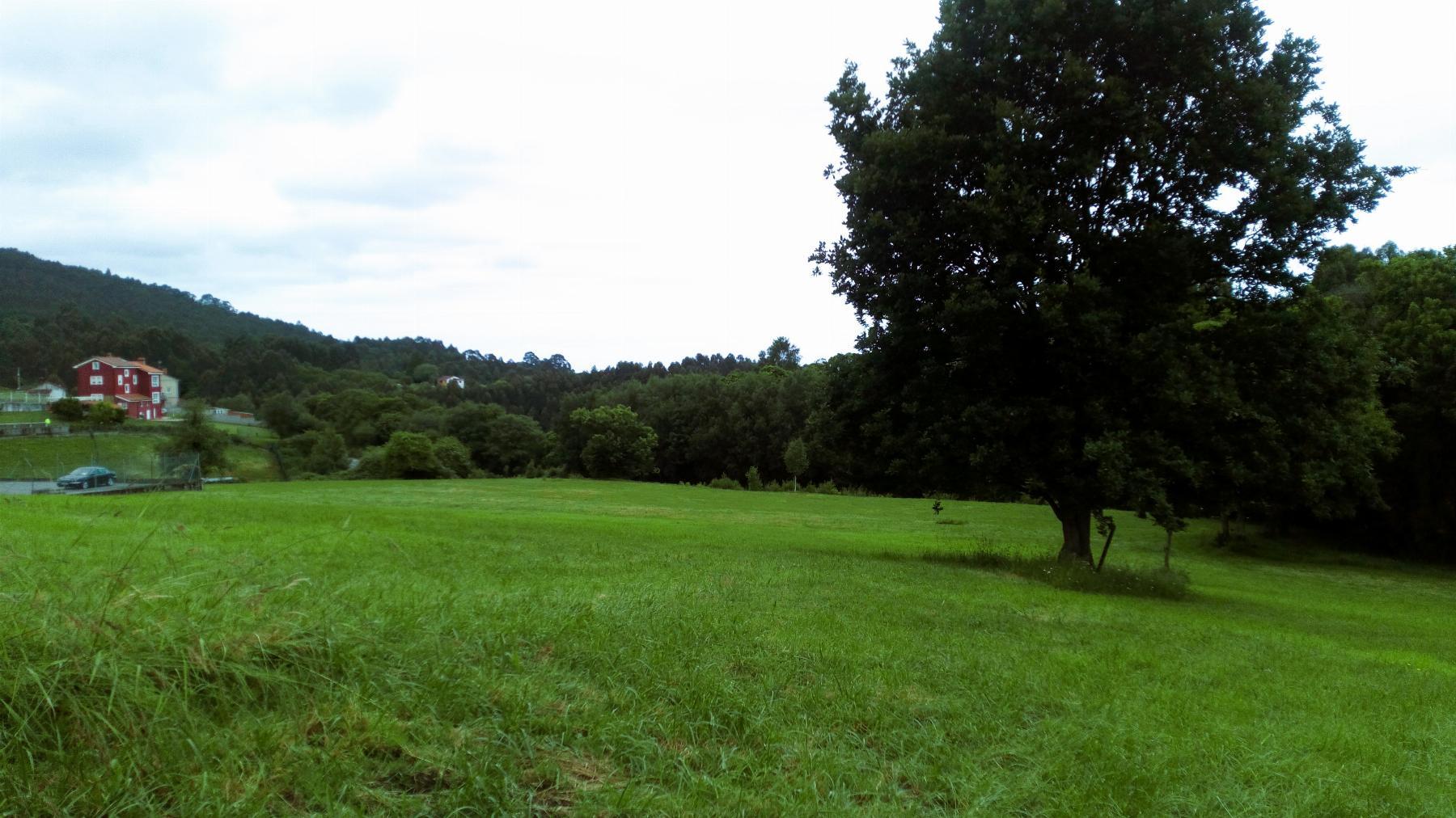 Terreno