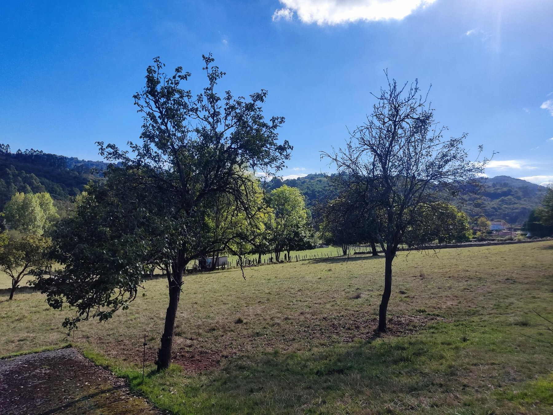 Terreno