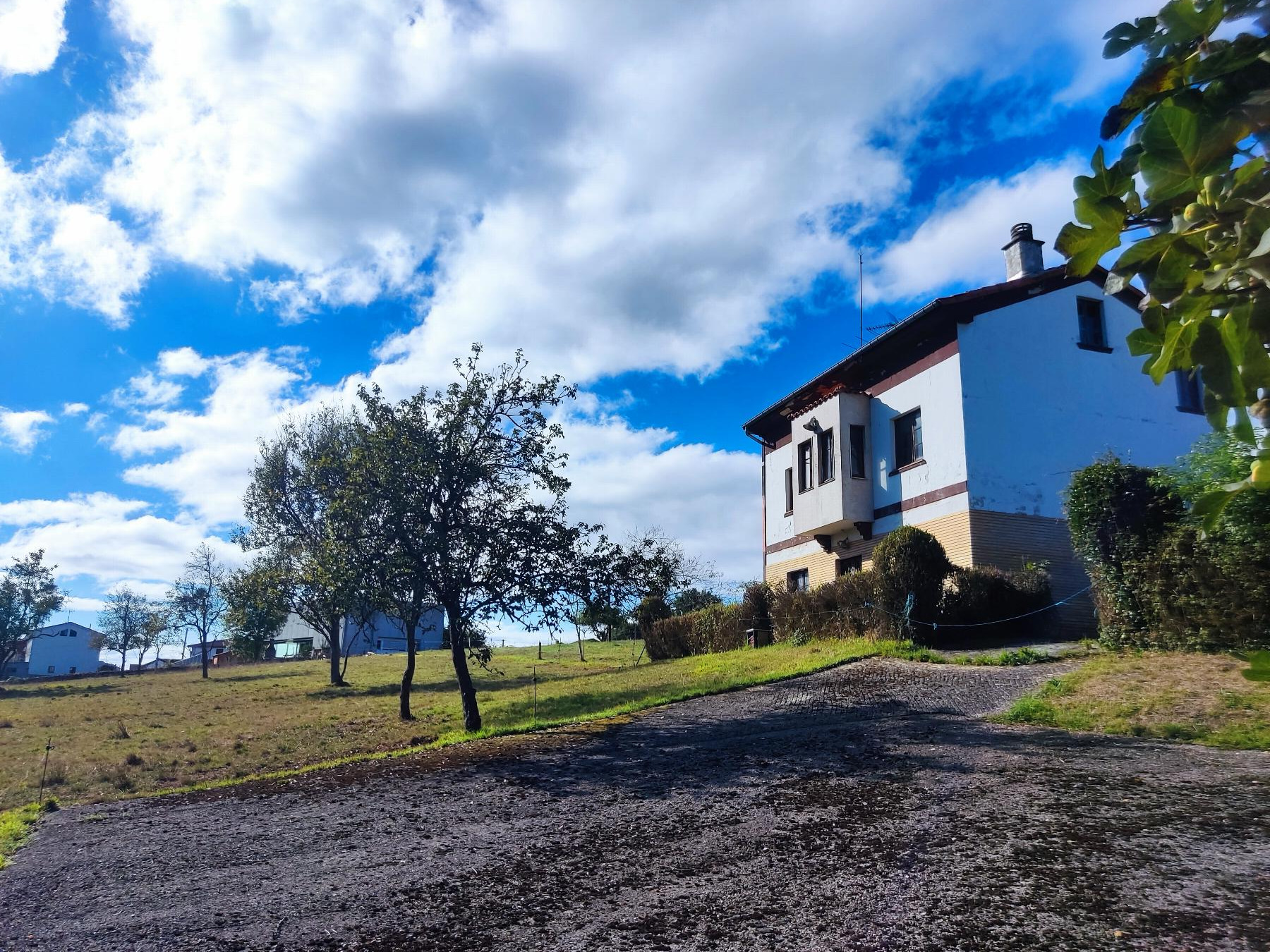 Terreno