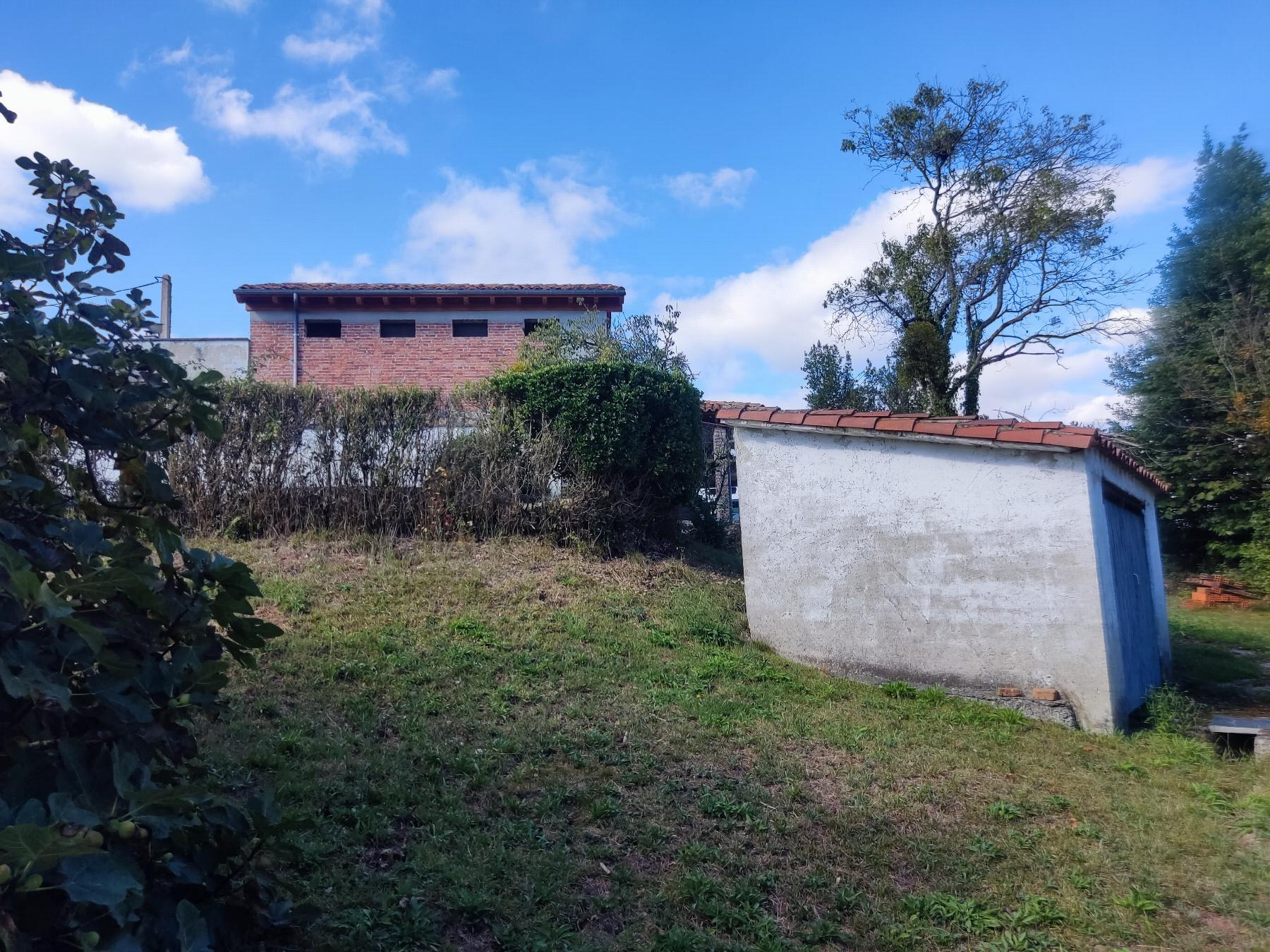 Terreno