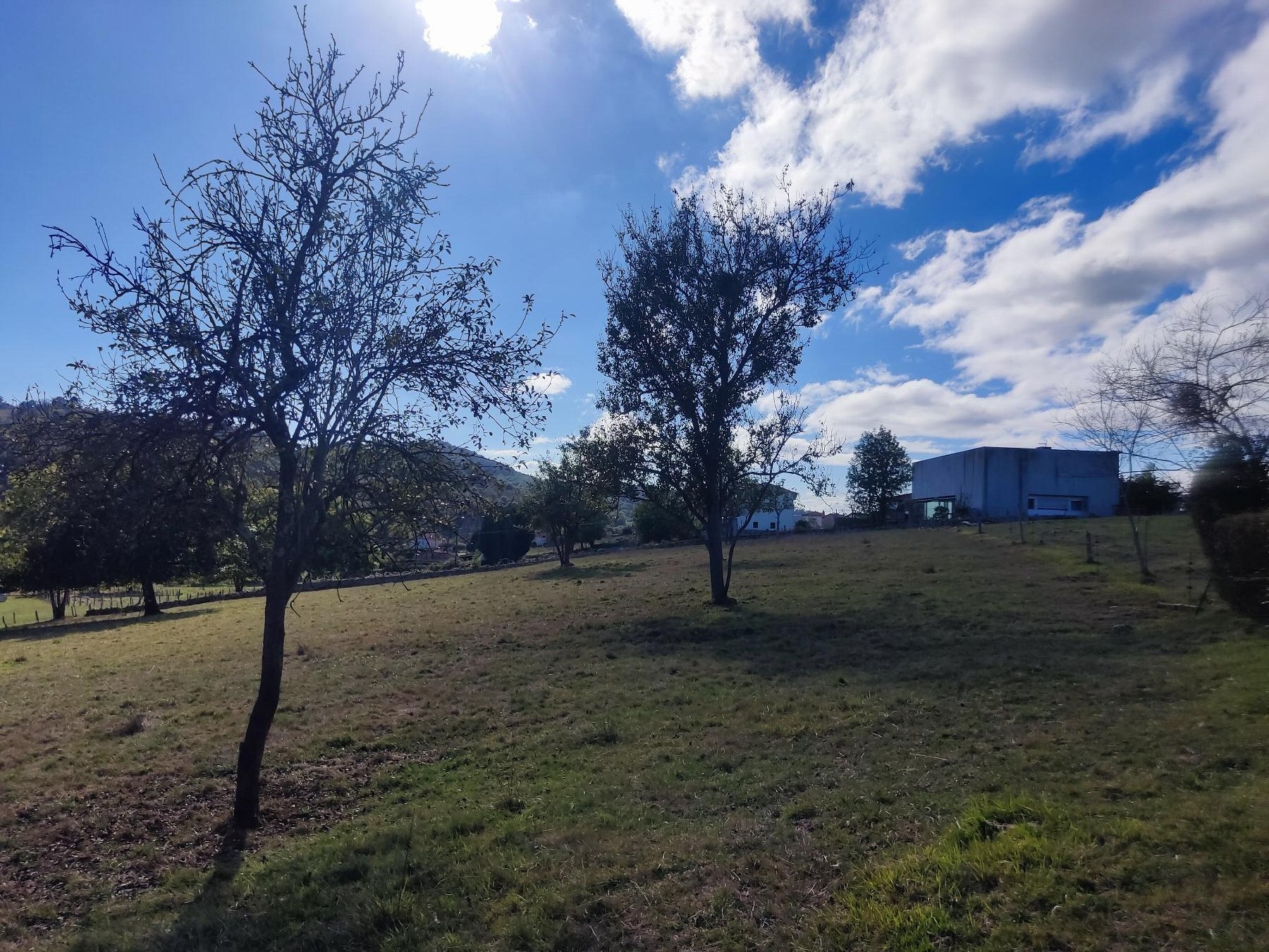 Terreno
