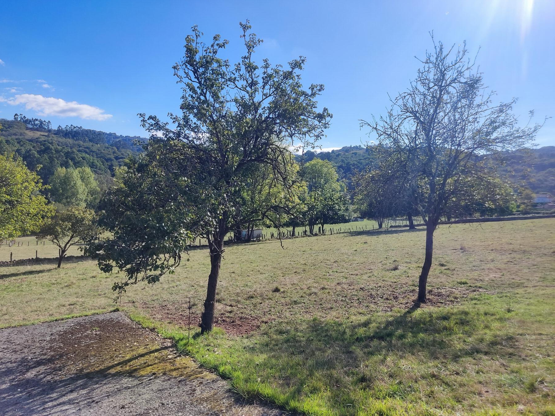 Terreno