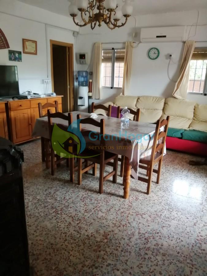 For sale of rural property in Sevilla