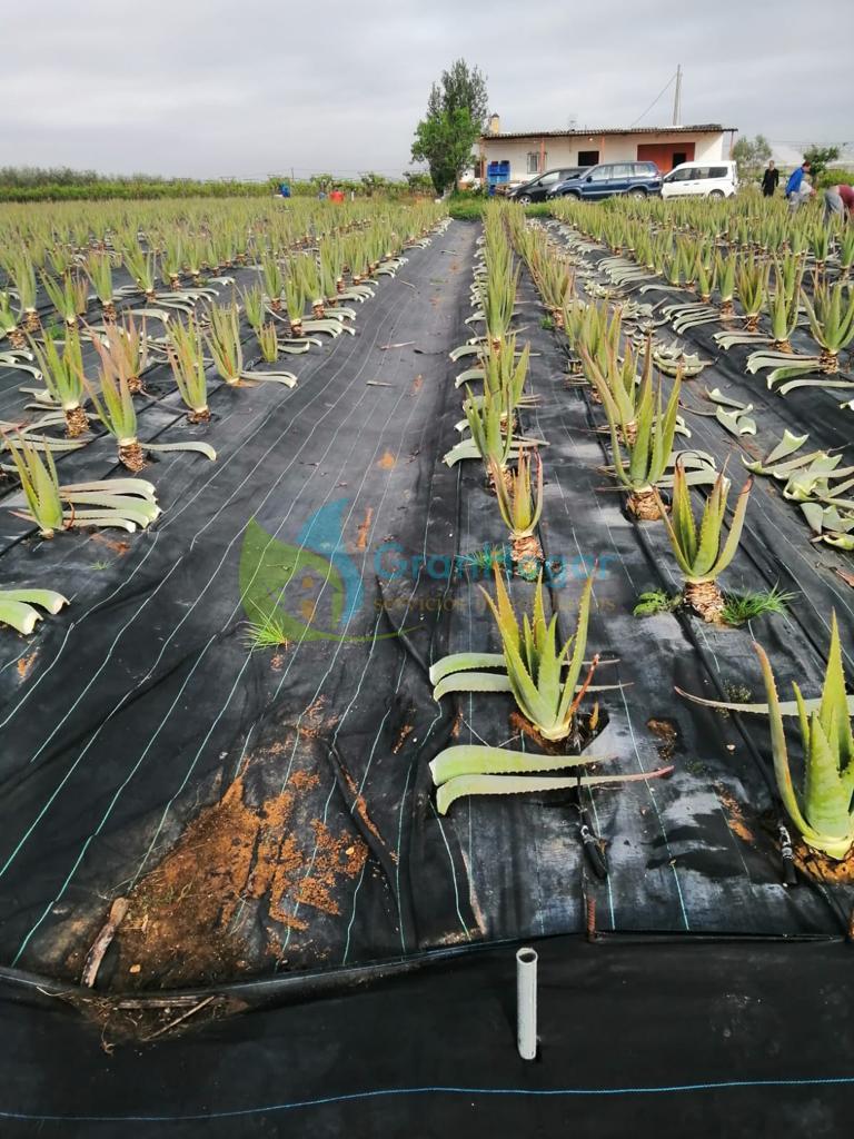 Venta de terreno en Dos Hermanas