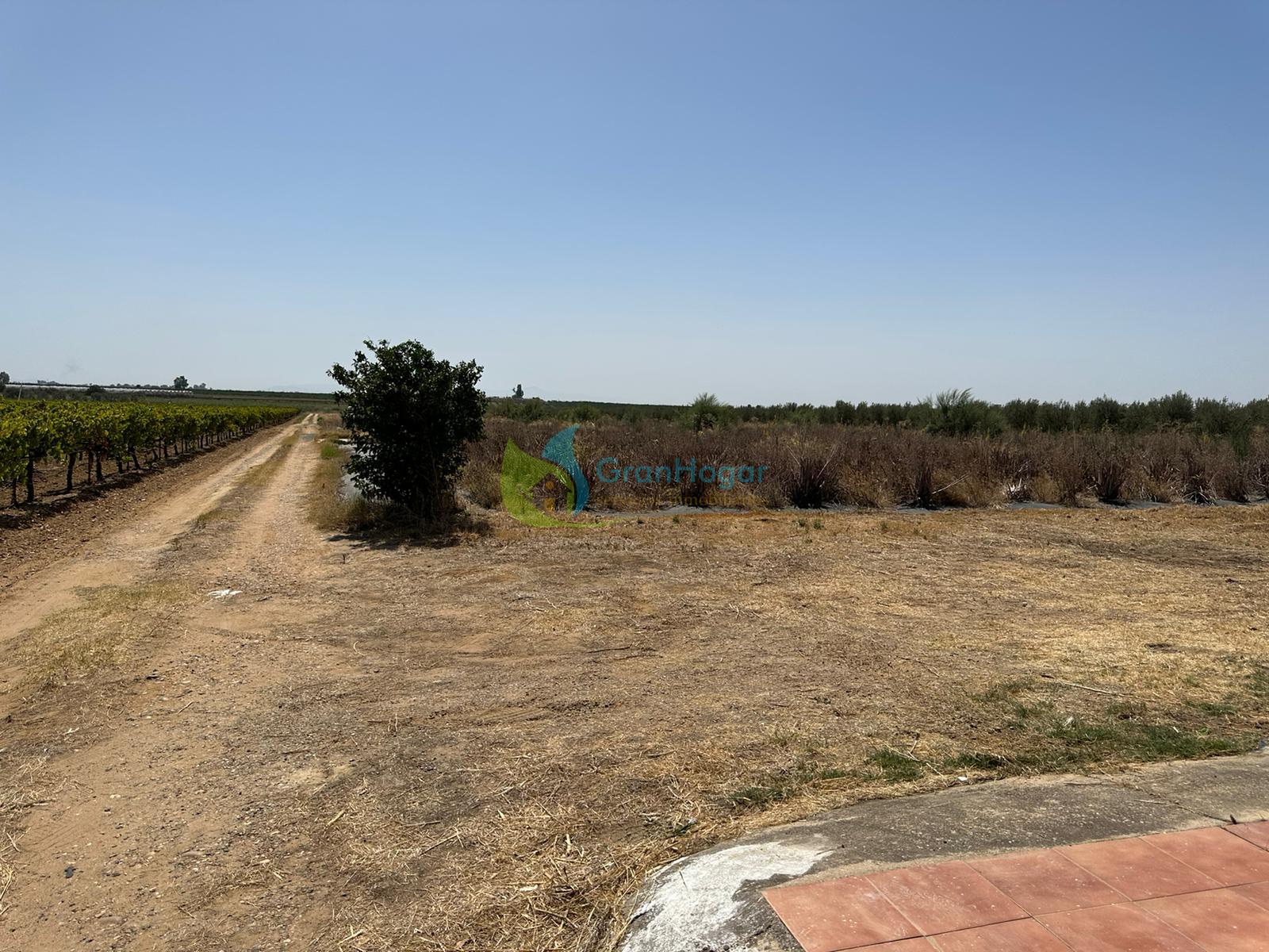 For sale of land in Dos Hermanas