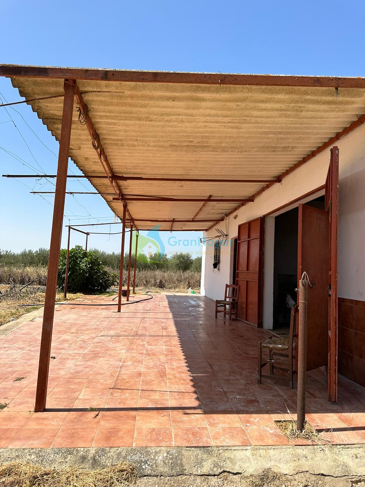 For sale of land in Dos Hermanas