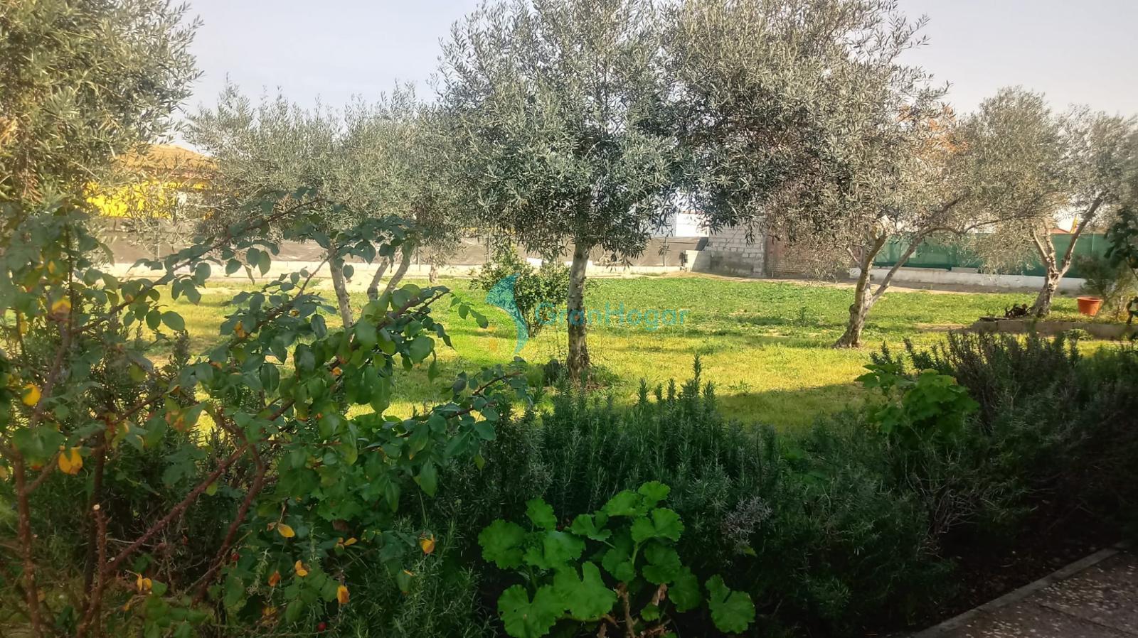 For sale of chalet in Sevilla