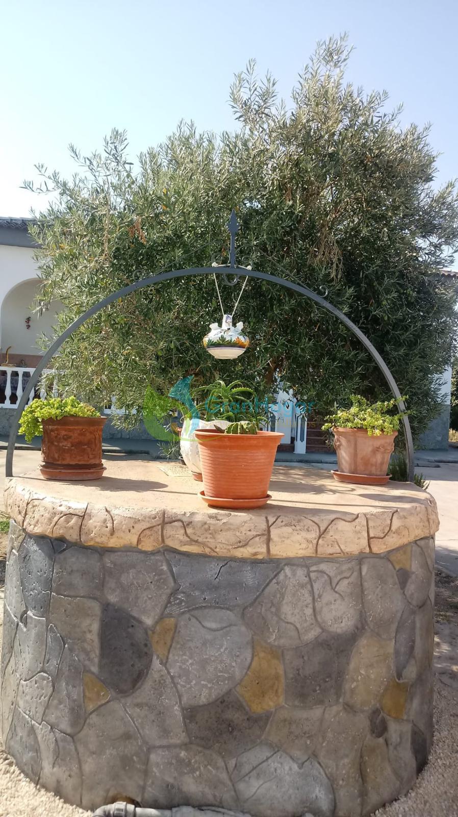 For sale of chalet in Sevilla