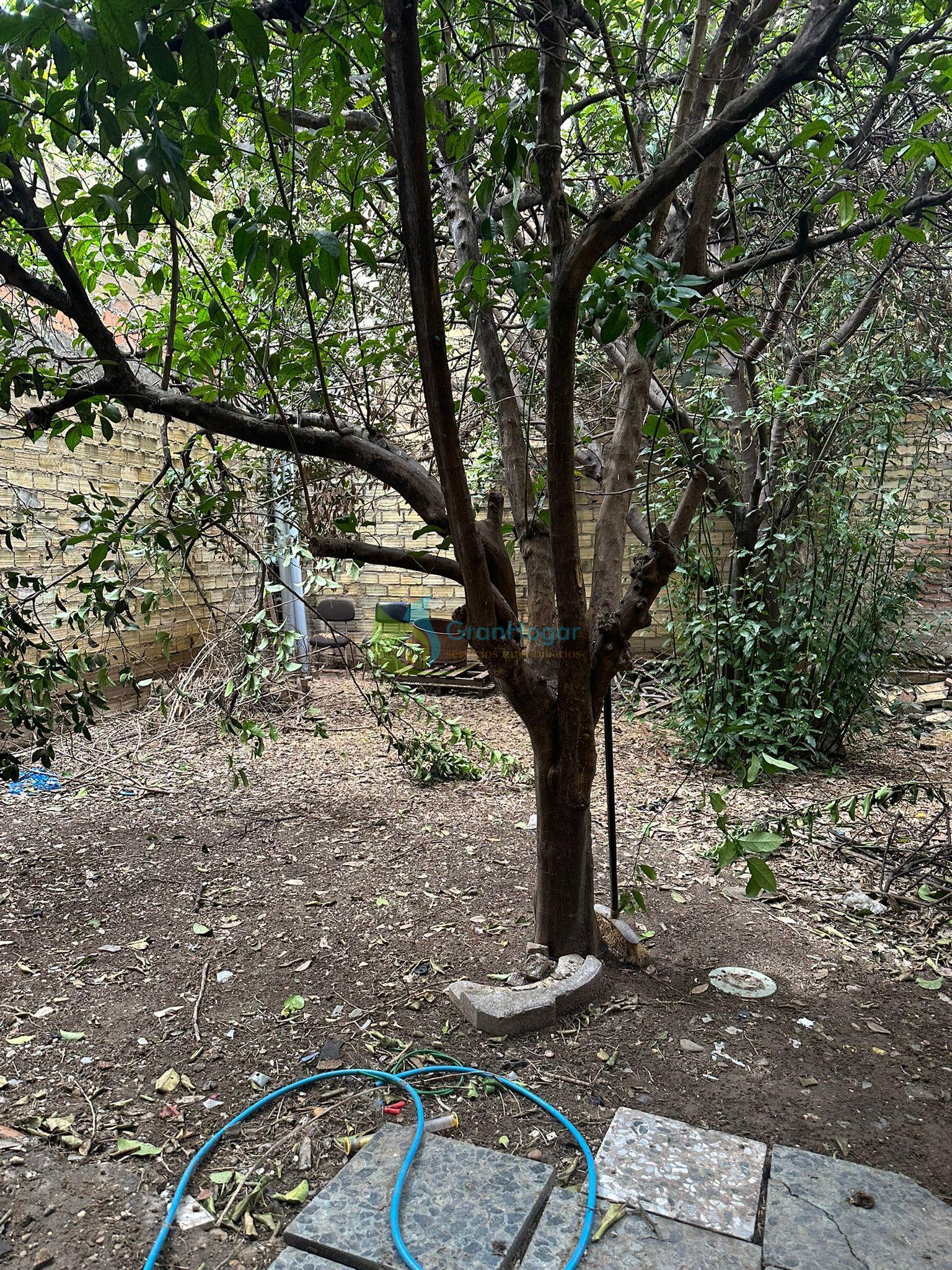 Venta de local en Sevilla