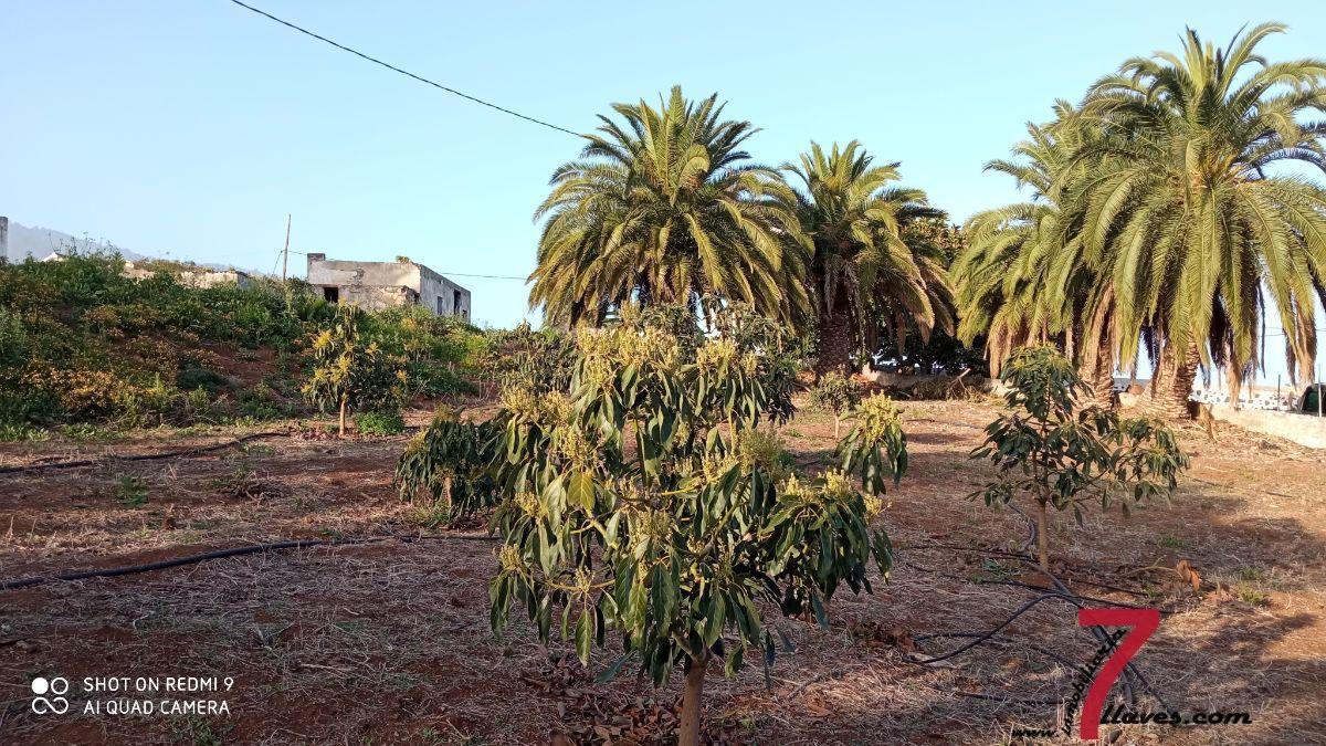 Venta de casa en Breña Alta