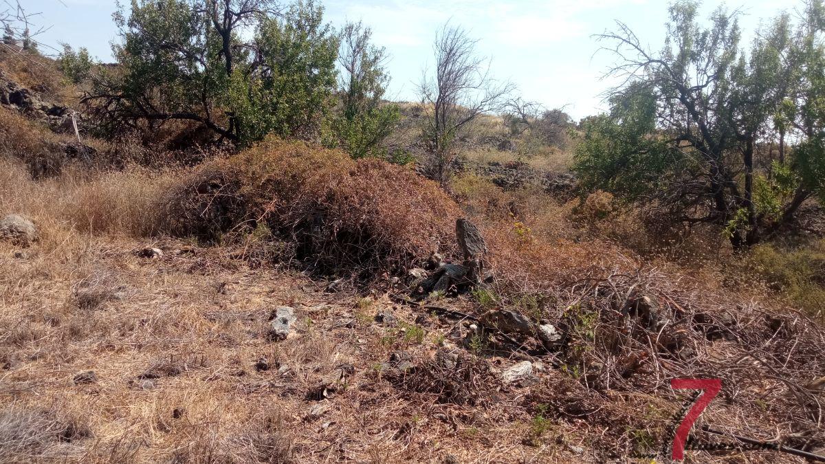 Venta de finca rústica en La Palma