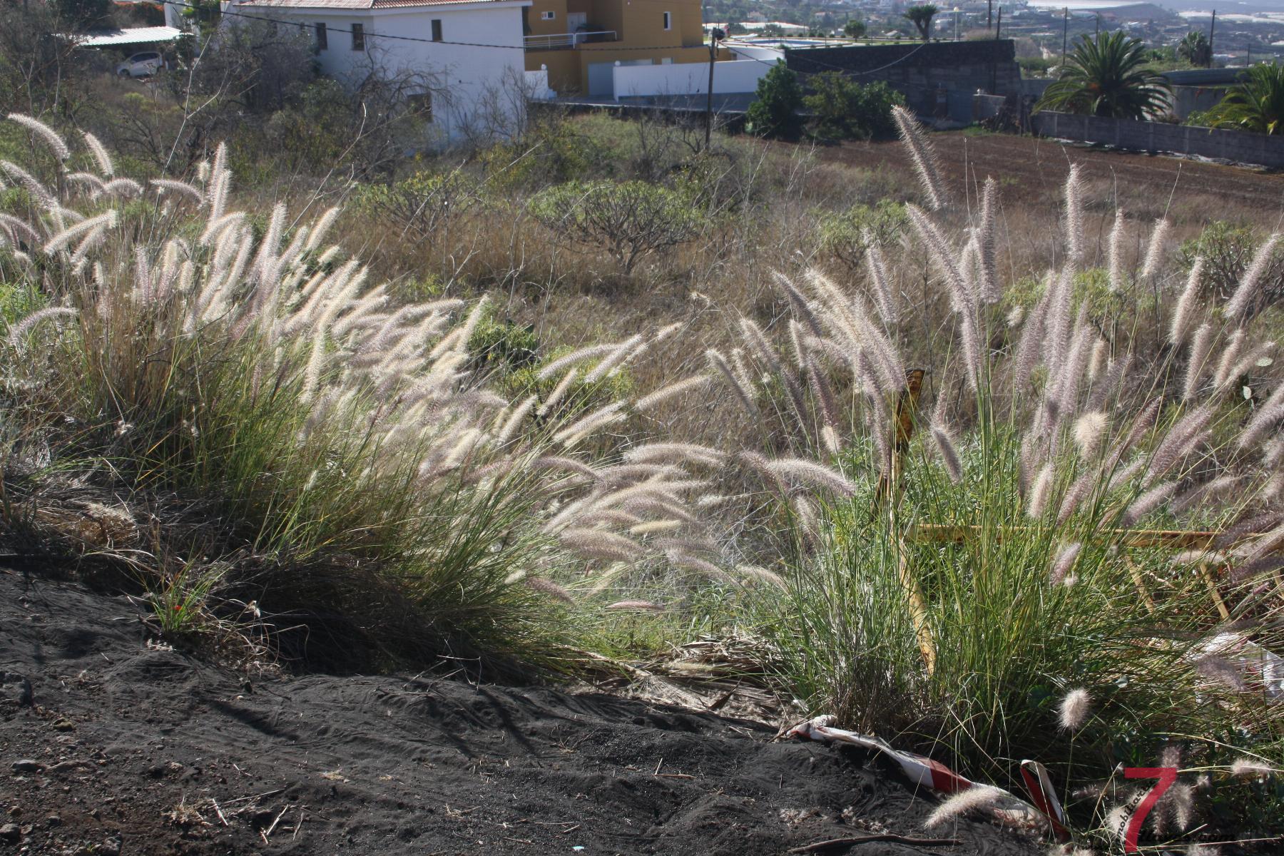 Venta de terreno en La Palma