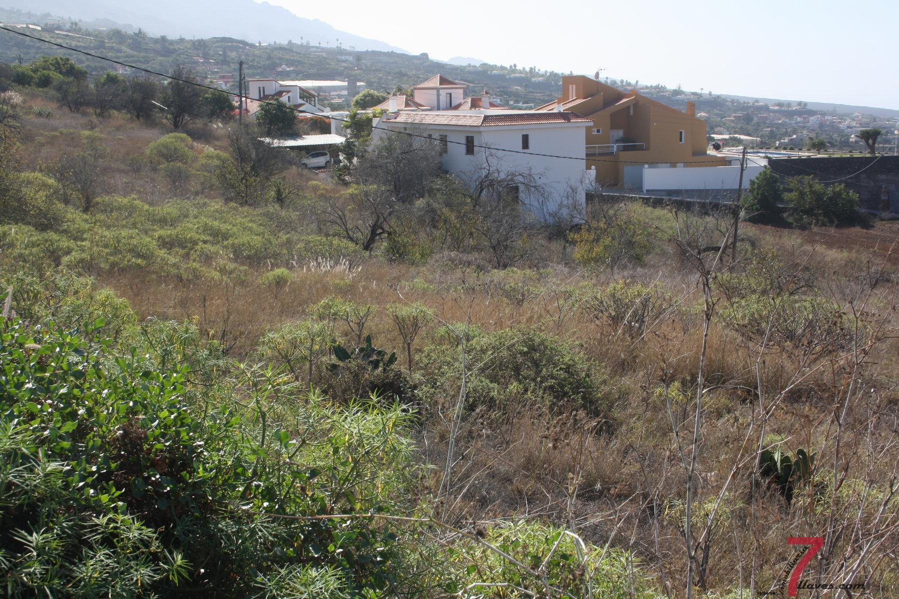 For sale of land in La Palma