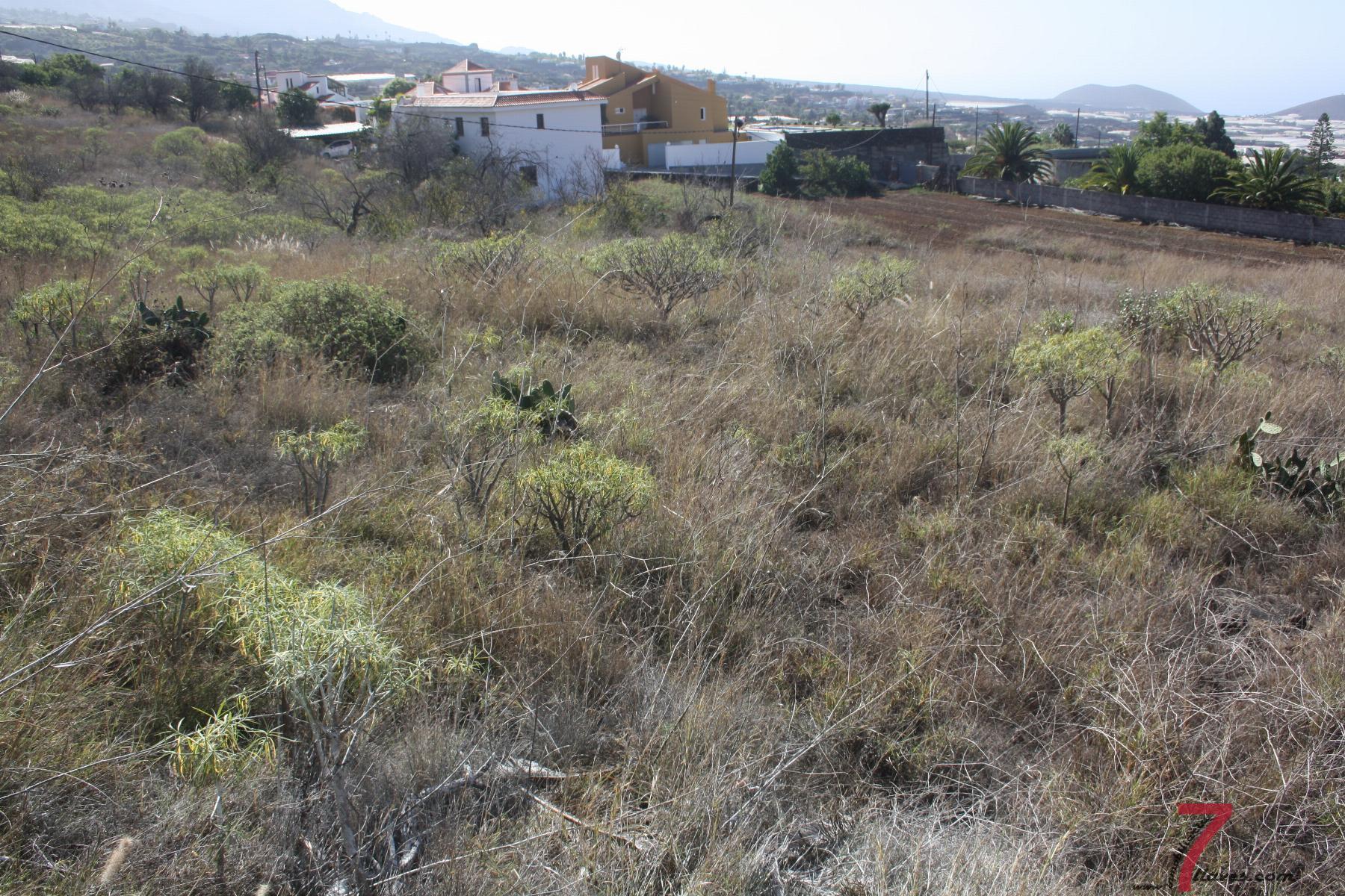 For sale of land in La Palma