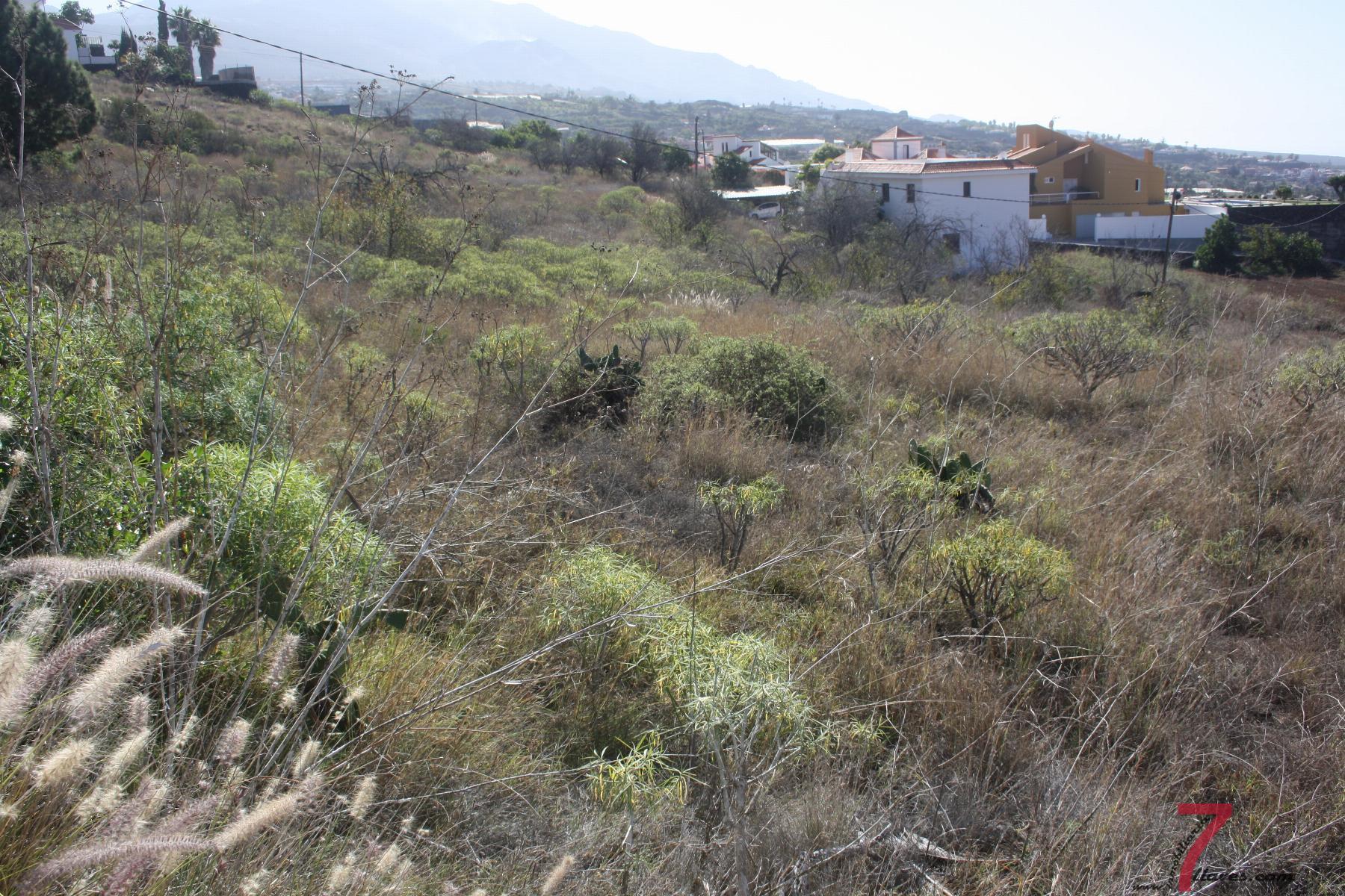 For sale of land in La Palma