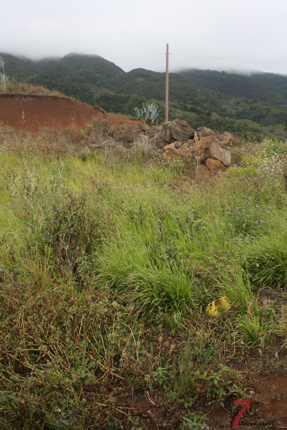 For sale of land in Puntallana