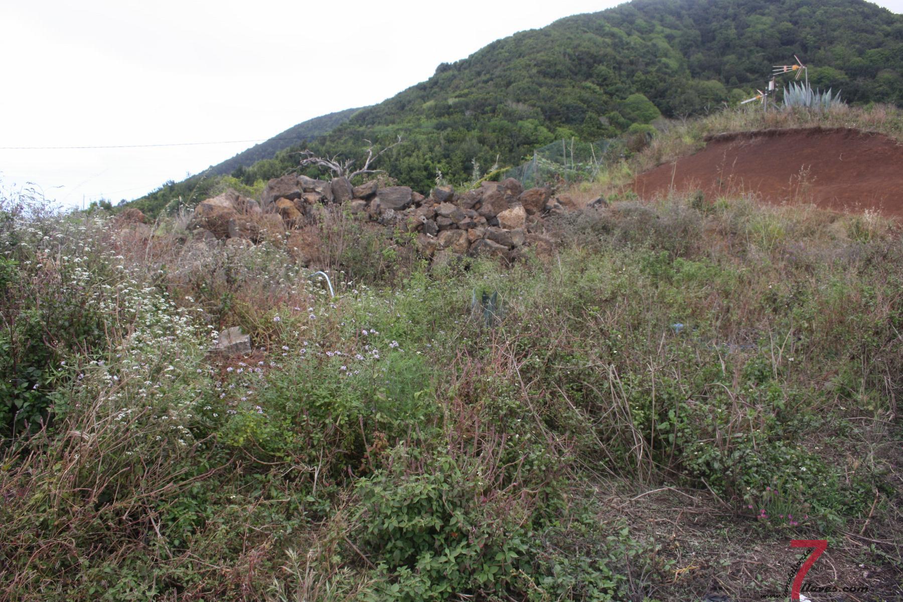 For sale of land in Puntallana