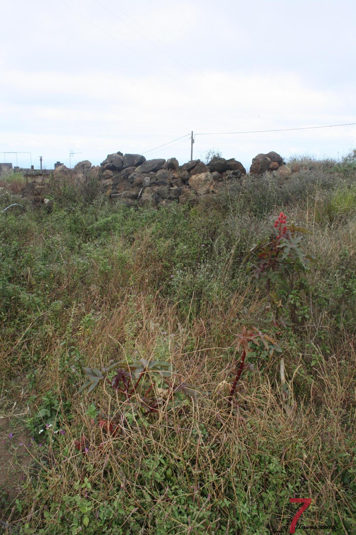 For sale of land in Puntallana