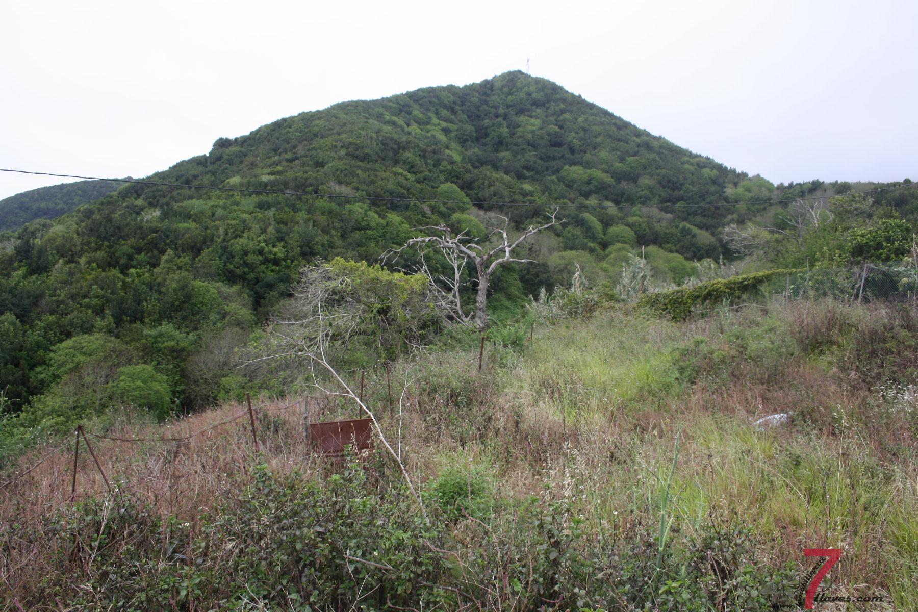 For sale of land in Puntallana