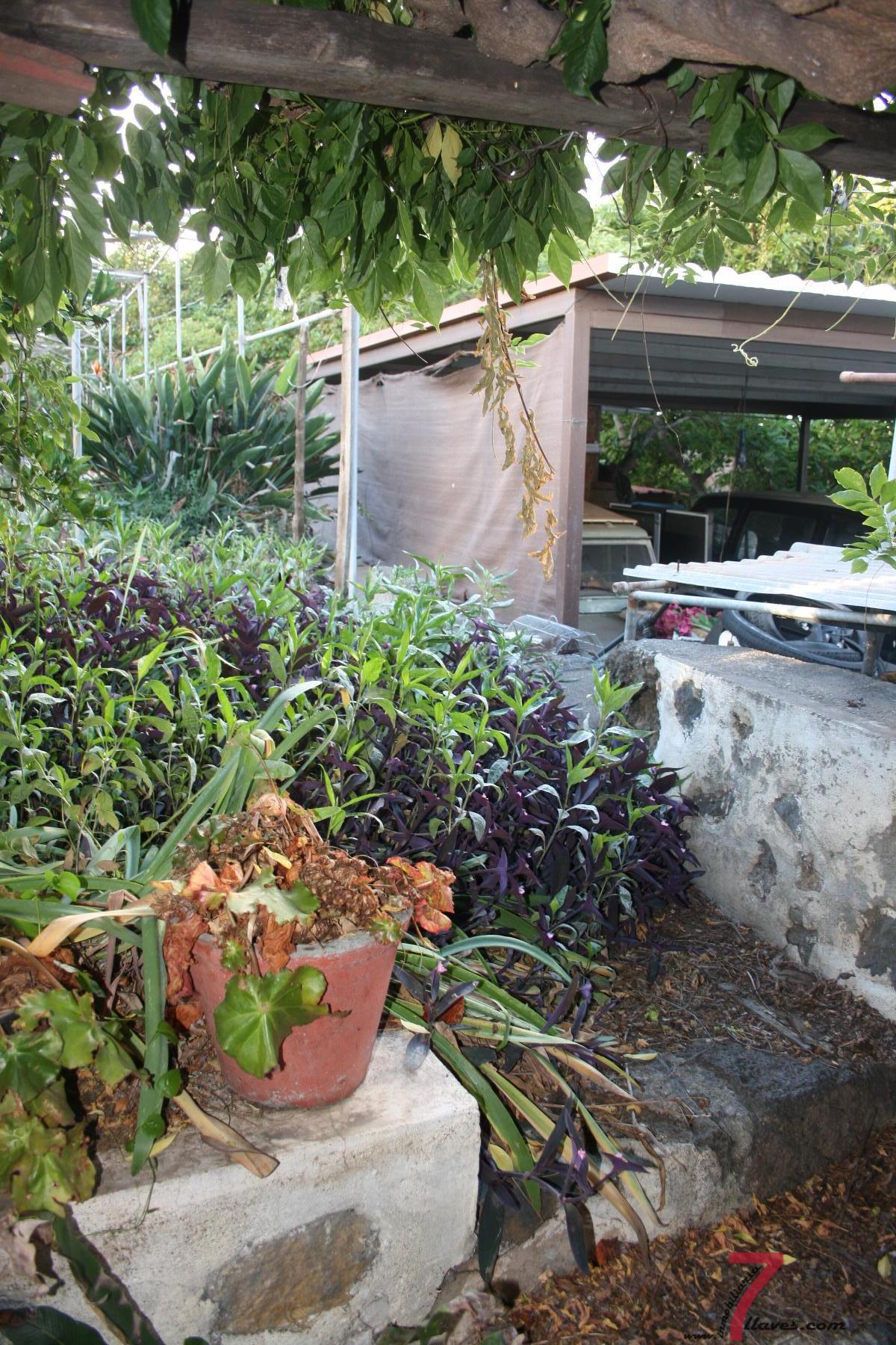 For sale of house in La Palma