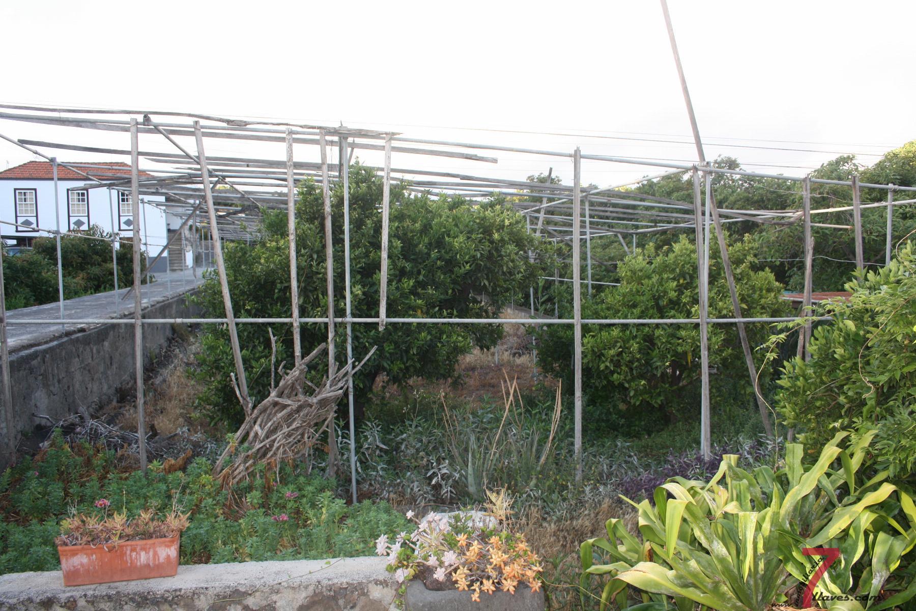 For sale of house in La Palma