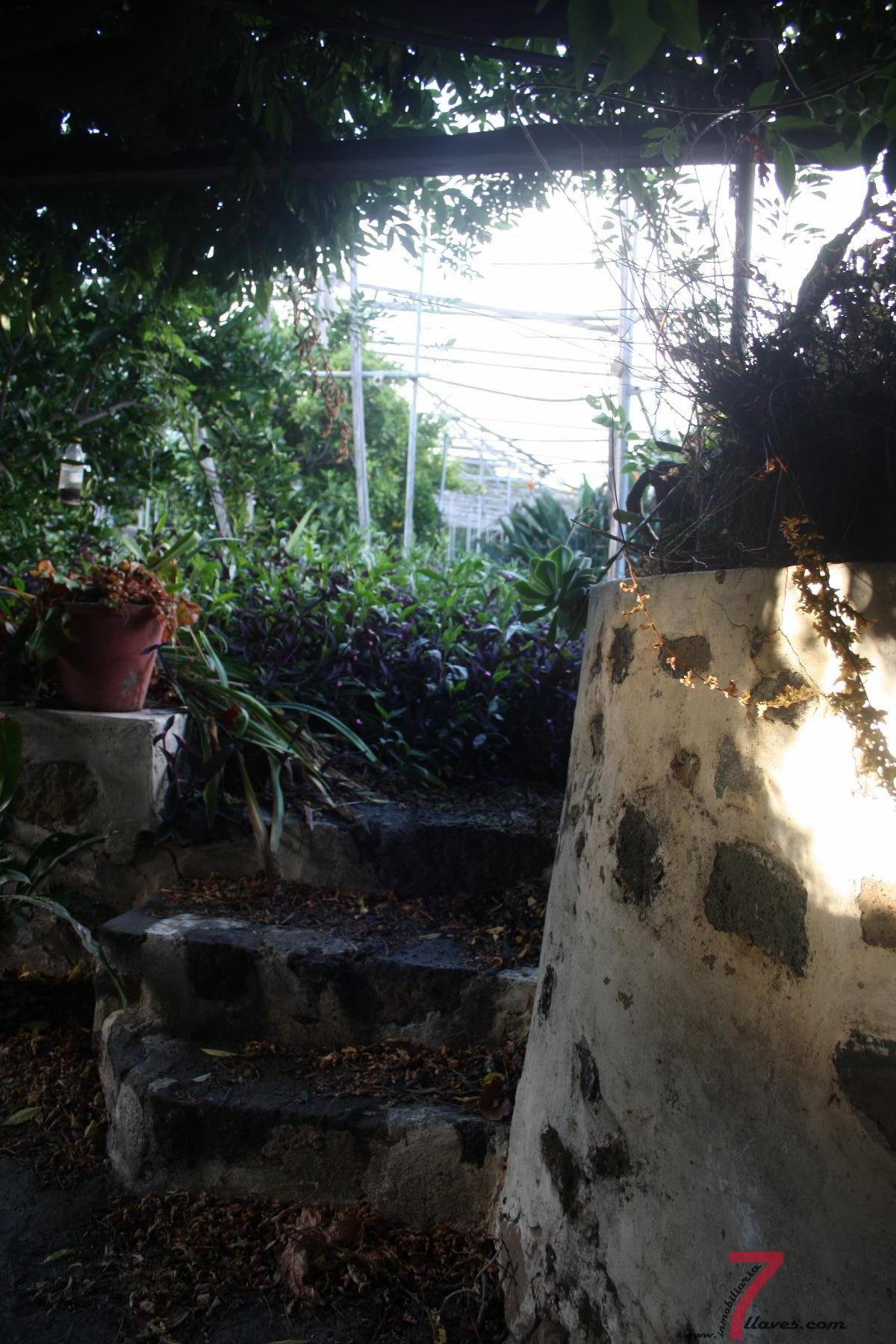 For sale of house in La Palma