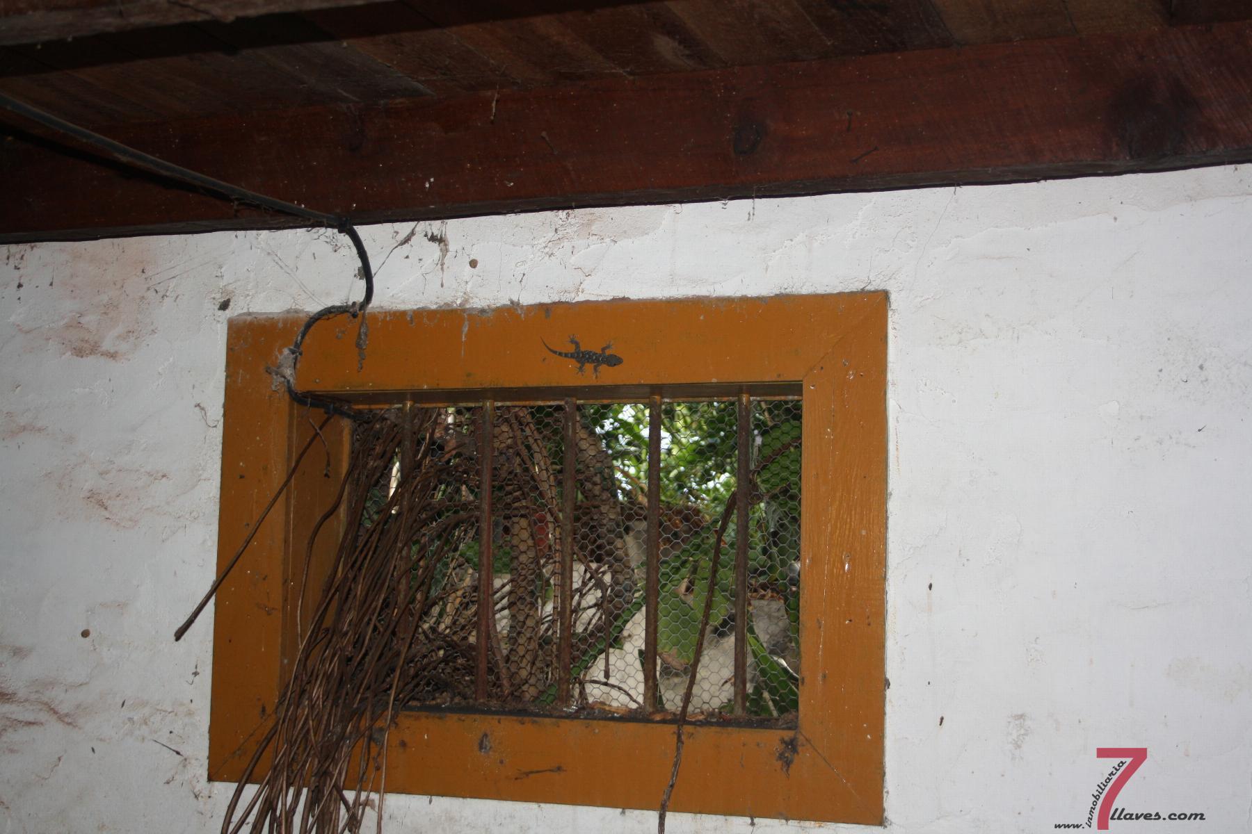 For sale of house in La Palma