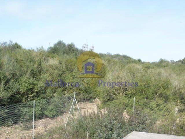 For sale of land in Manacor