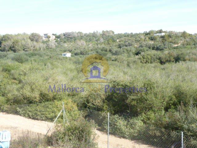 For sale of land in Manacor