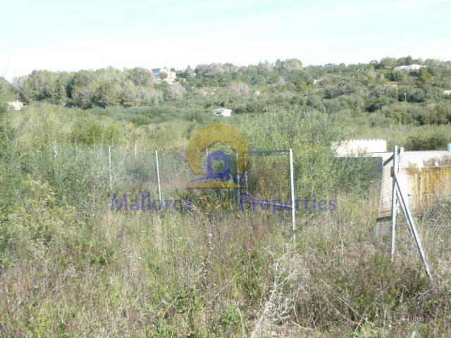 Vente de terrain dans Manacor