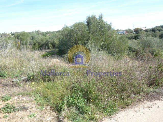 For sale of land in Manacor