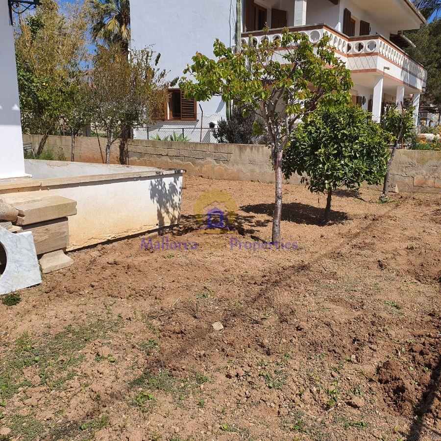 Terreno Terreno