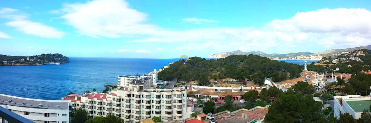 Vistas