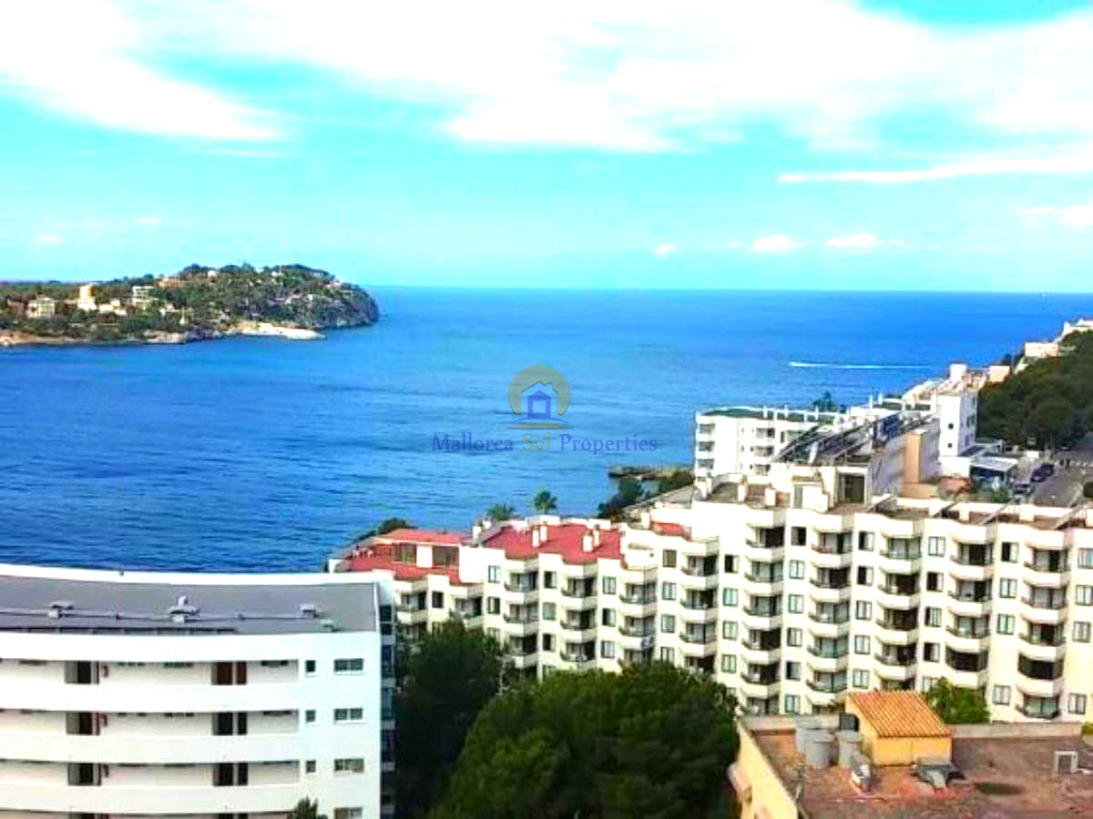 Vistas