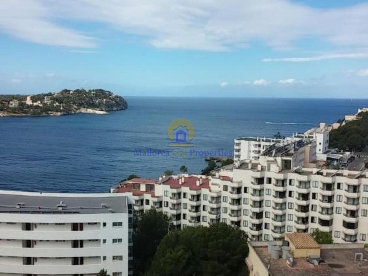 Vistas Vistas