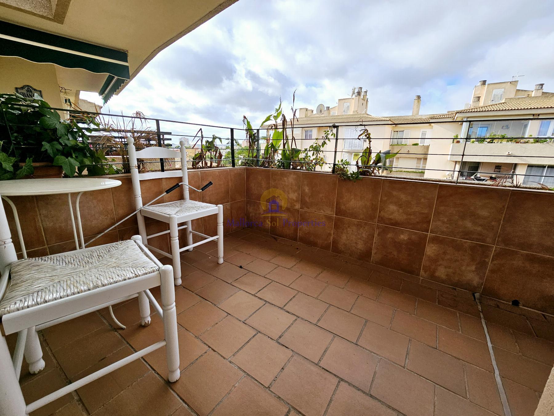 Terraza