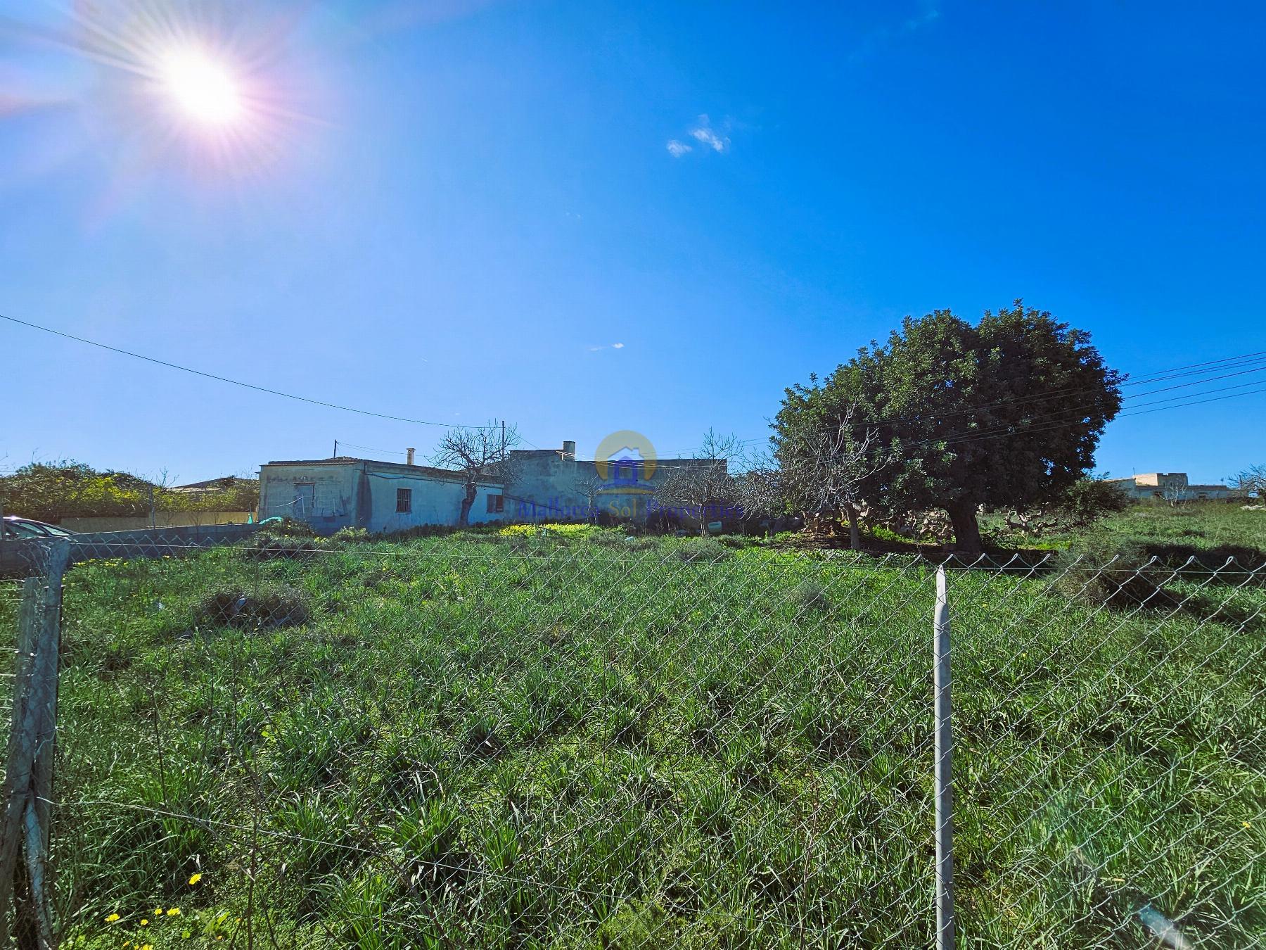 Surroundings