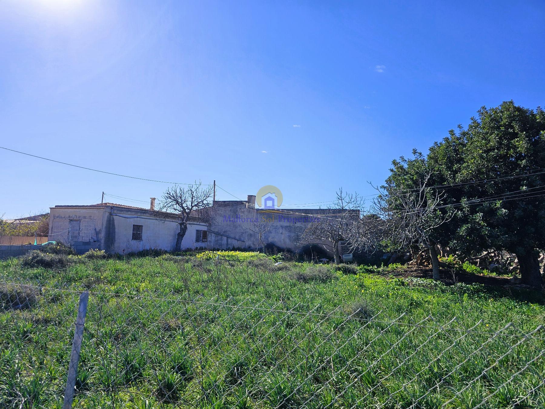 Surroundings