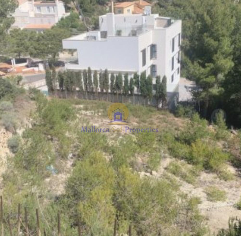 Terreno Terreno