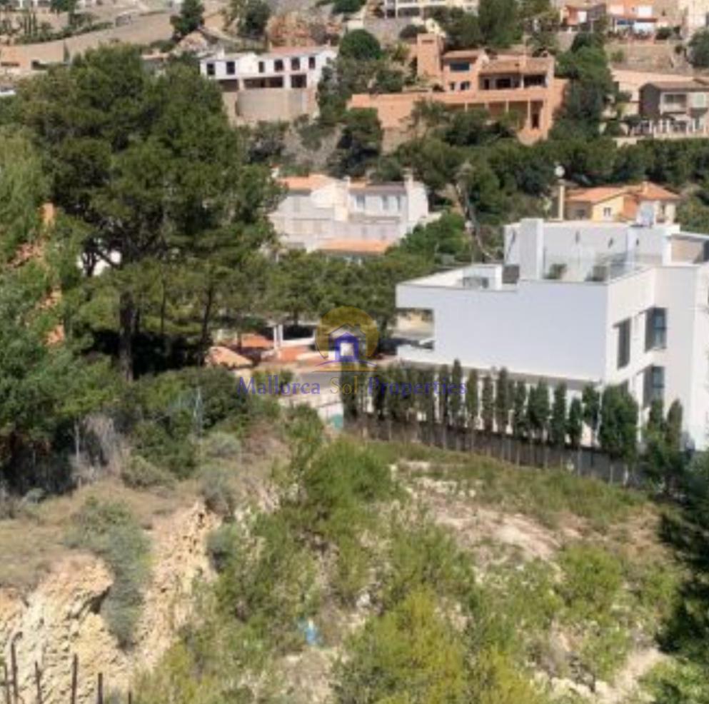 Terreno Terreno